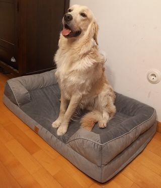 Cama Ortopédica Perro Grande Beige/Gris