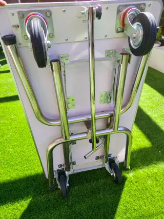 Mesa Peluquería Canina con Ruedas