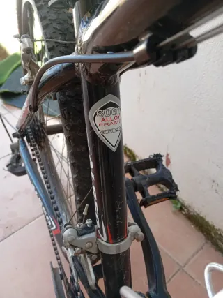 Bicicleta