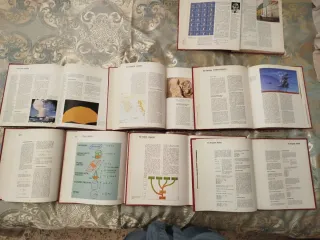 Enciclopedia de consulta  juvenil 8 tomos