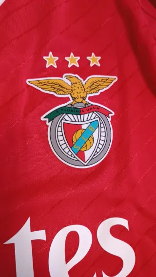 Camiseta y Rompevientos Benfica Portugal Adidas