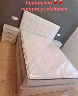 Liquidación: Canapés y colchones