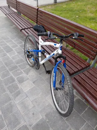 Bicicleta de montaña Freerider