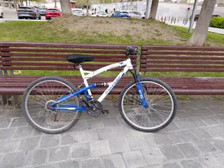Bicicleta de montaña Freerider