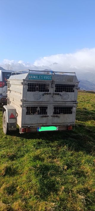 Remolque para perros caza