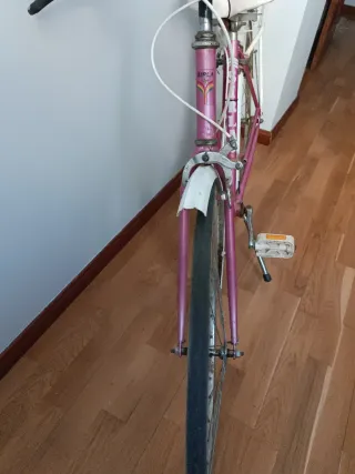 Bicicleta rosa vintage