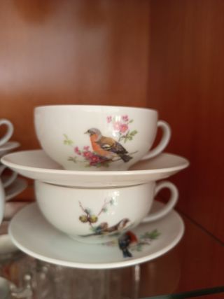 6 Tazas de porcelana fina, calidad, sin azucarero