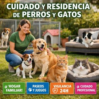 Cuidador de perros
