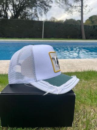 Gorra Goorin Bros G5 Turca “Cash”