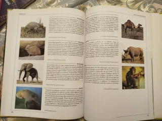 Enciclopedia 6 tomos de consulta  A estrenar