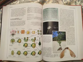 Enciclopedia 6 tomos de consulta  A estrenar