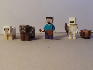 Set Lego Minecraft 21114 Figure