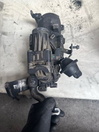 Grupo EGR Pierburg PSA