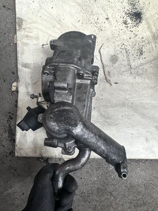 Grupo EGR Pierburg PSA