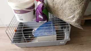 REGALO Jaula para cobaya con accesorios GRATIS