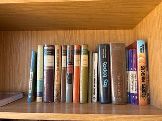 GRAN LOTE DE LIBROS CLASICOS