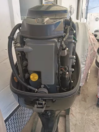 Suzuki DF50 Fish (70cv)