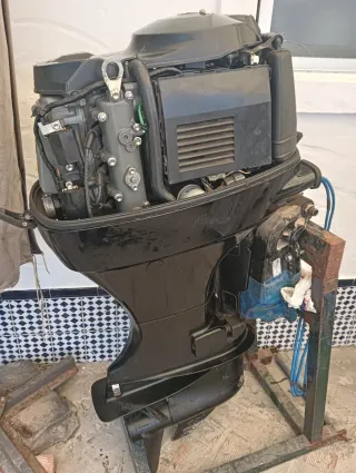 Suzuki DF50 Fish (70cv)