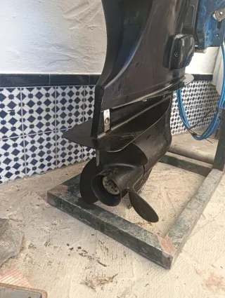 Suzuki DF50 Fish (70cv)