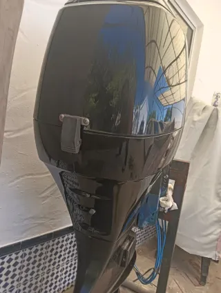 Suzuki DF50 Fish (70cv)