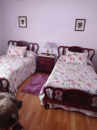 Dormitorio con armario, cómoda, espejo y 2 camas