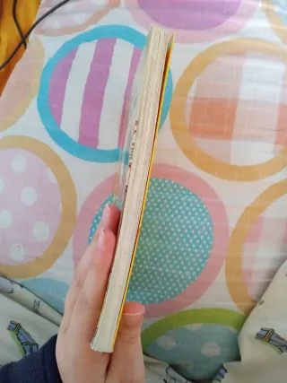 El misterioso ladrón de quesos: Geronimo Stilto...