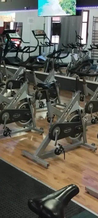 Bicicletas Spinning Profesionales