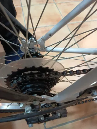 Bicicleta paseo piñones seminueva