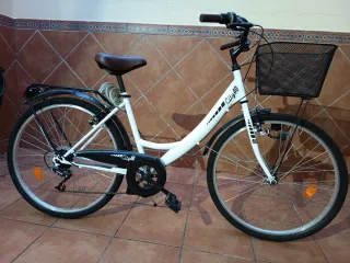 Bicicleta paseo piñones seminueva
