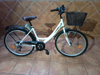 Bicicleta paseo piñones seminueva