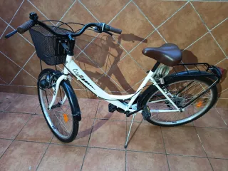 Bicicleta paseo piñones seminueva