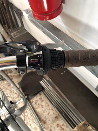 Bicicleta de paseo plateada