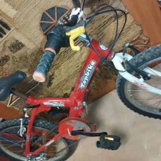 Bicicleta Infantil Topbike Young Driver Roja