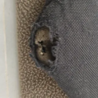 Funda Tabla Surf fish Channel Islands