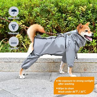 Chubasquero Perro Avont Gris Talla L