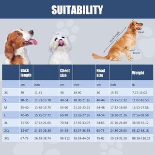 Chubasquero Perro Avont Gris Talla L