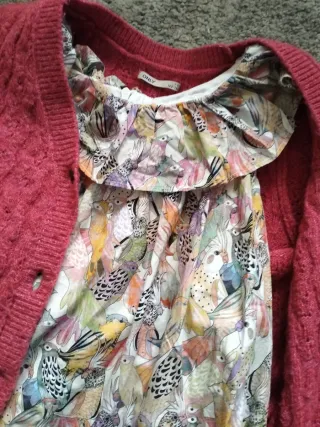 Chaqueta rosa y vestido estampado pájaros