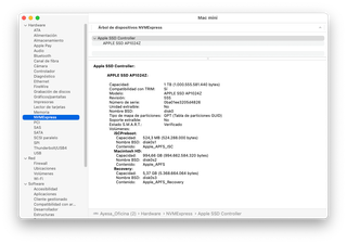 Mac mini M2 Pro 32GB 1TB 10Gb Ethernet