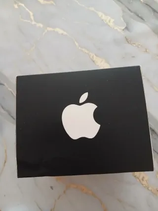 Apple ipod AV connection kit