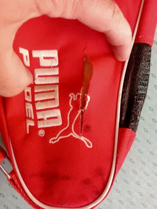 Lote 4 Fundas Palas Pádel+ 1 de Regalo