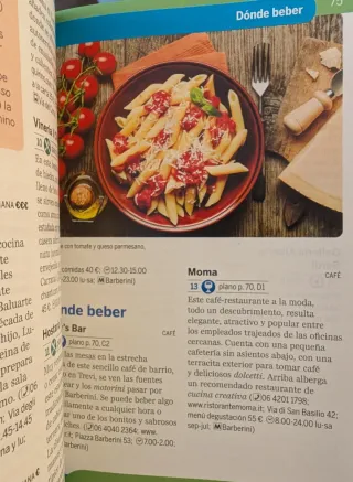 Guía Roma (Travel Guide)