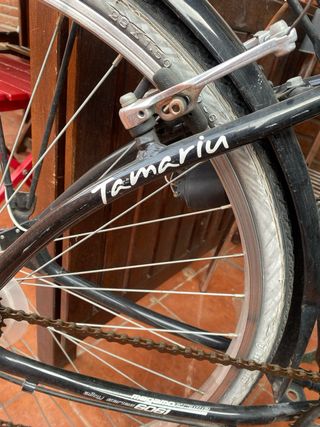 Bicicleta Megamo Tamariu MGM Negra con Cesta