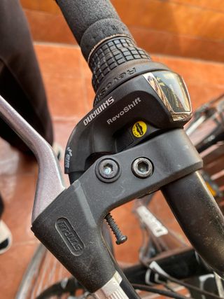 Bicicleta Megamo Tamariu MGM Negra con Cesta