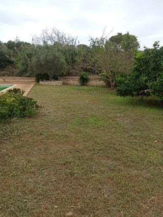 Alquiler Vacacional Mallorca Manacor