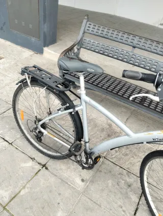 Bicicleta Paseo 29 Plata