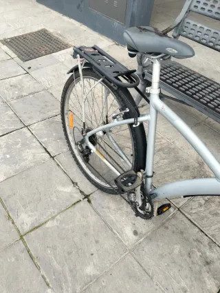 Bicicleta Paseo 29 Plata