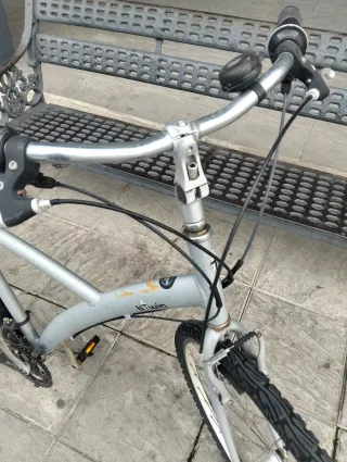 Bicicleta Paseo 29 Plata