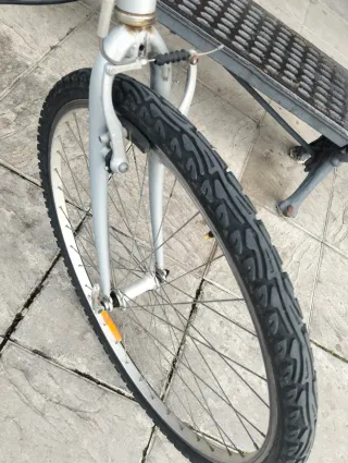 Bicicleta Paseo 29 Plata