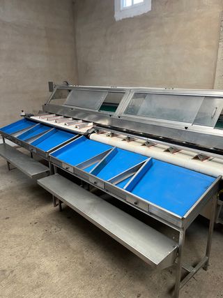 Calibradora Seleccionadora Cerezas - Como Nueva