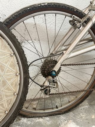 Urgente Bicicleta Alpinestars AlMega DX + Extras